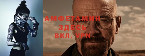 амф Пестово