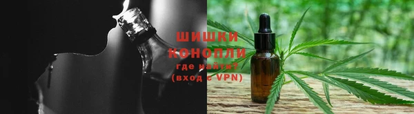 дмт Переславль-Залесский