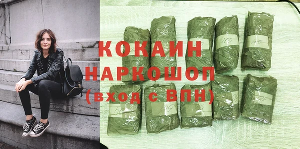 амф Пестово