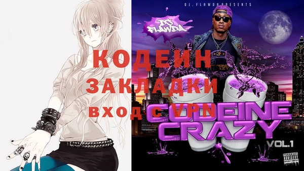 амф Пестово
